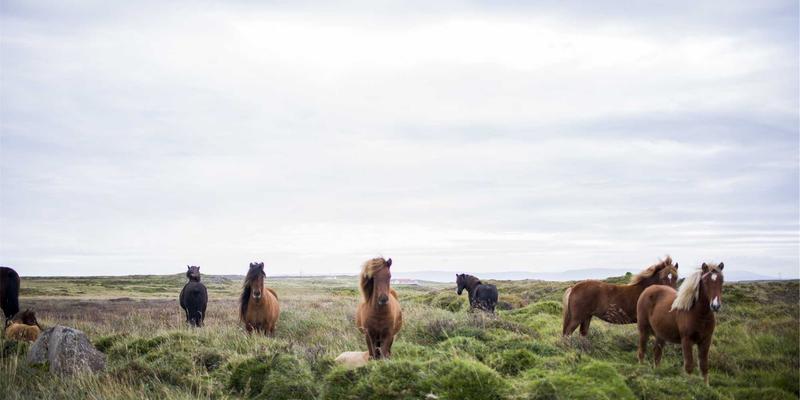 危险品物流安全管理规范与操作实务：八达路物流为您筑牢运输安全防线