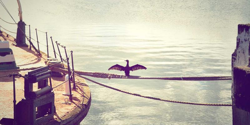 最后一公里配送优化方案:八达路物流提升客户满意度的5大关键策略