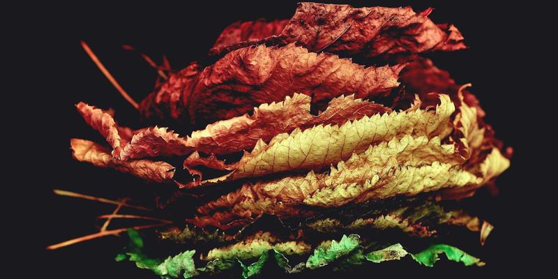 物流运输中的包装标准化与定制化:八达路解析如何平衡保护与成本