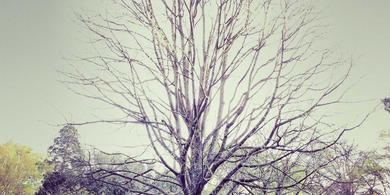 绿色物流新纪元:八达路解读新能源车辆与包装循环利用的实践路径